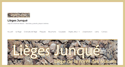 Desktop Screenshot of liege-junque.com